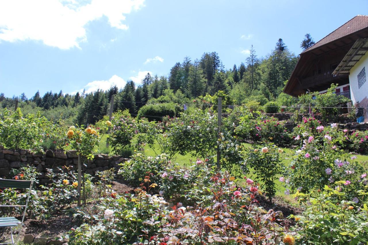 The Moosbach Garden Konuk evi Nordrach Dış mekan fotoğraf