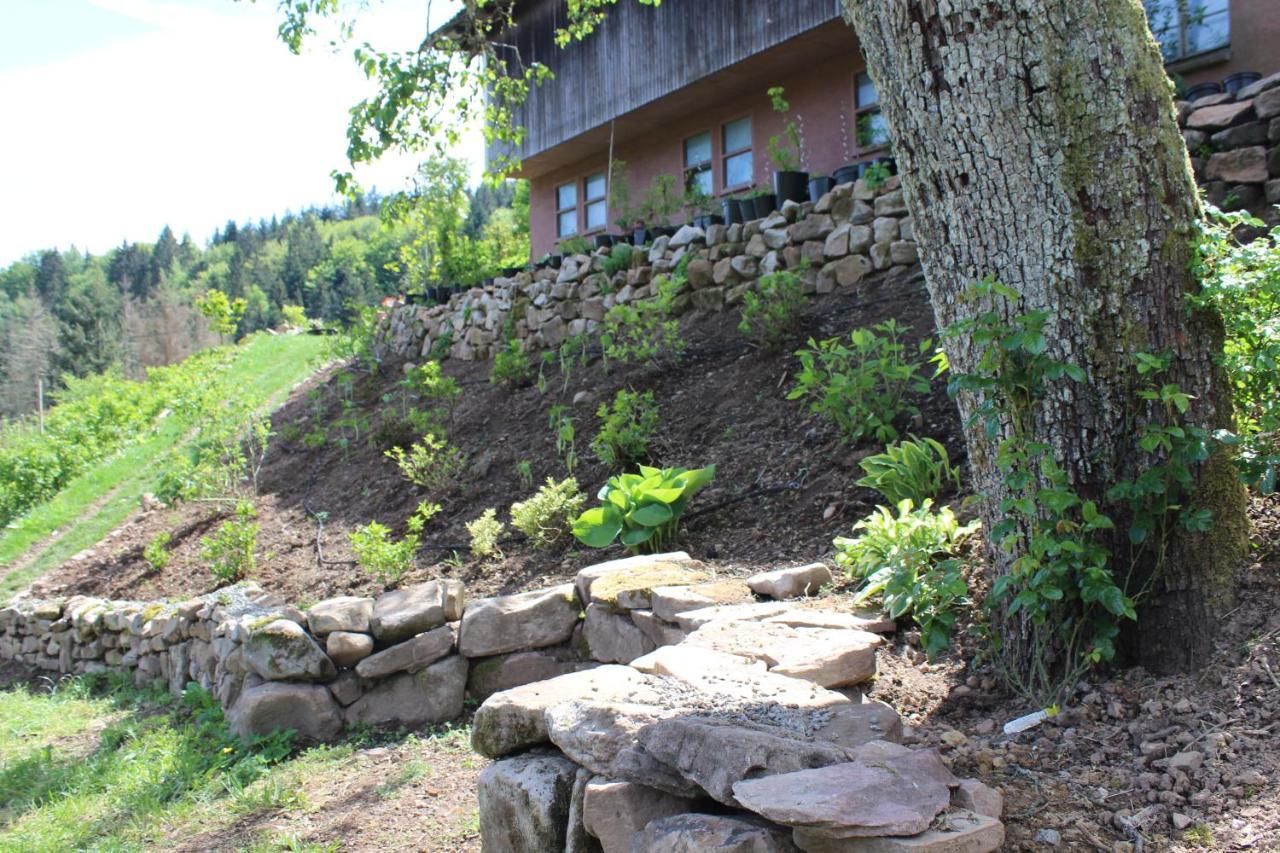 The Moosbach Garden Konuk evi Nordrach Dış mekan fotoğraf