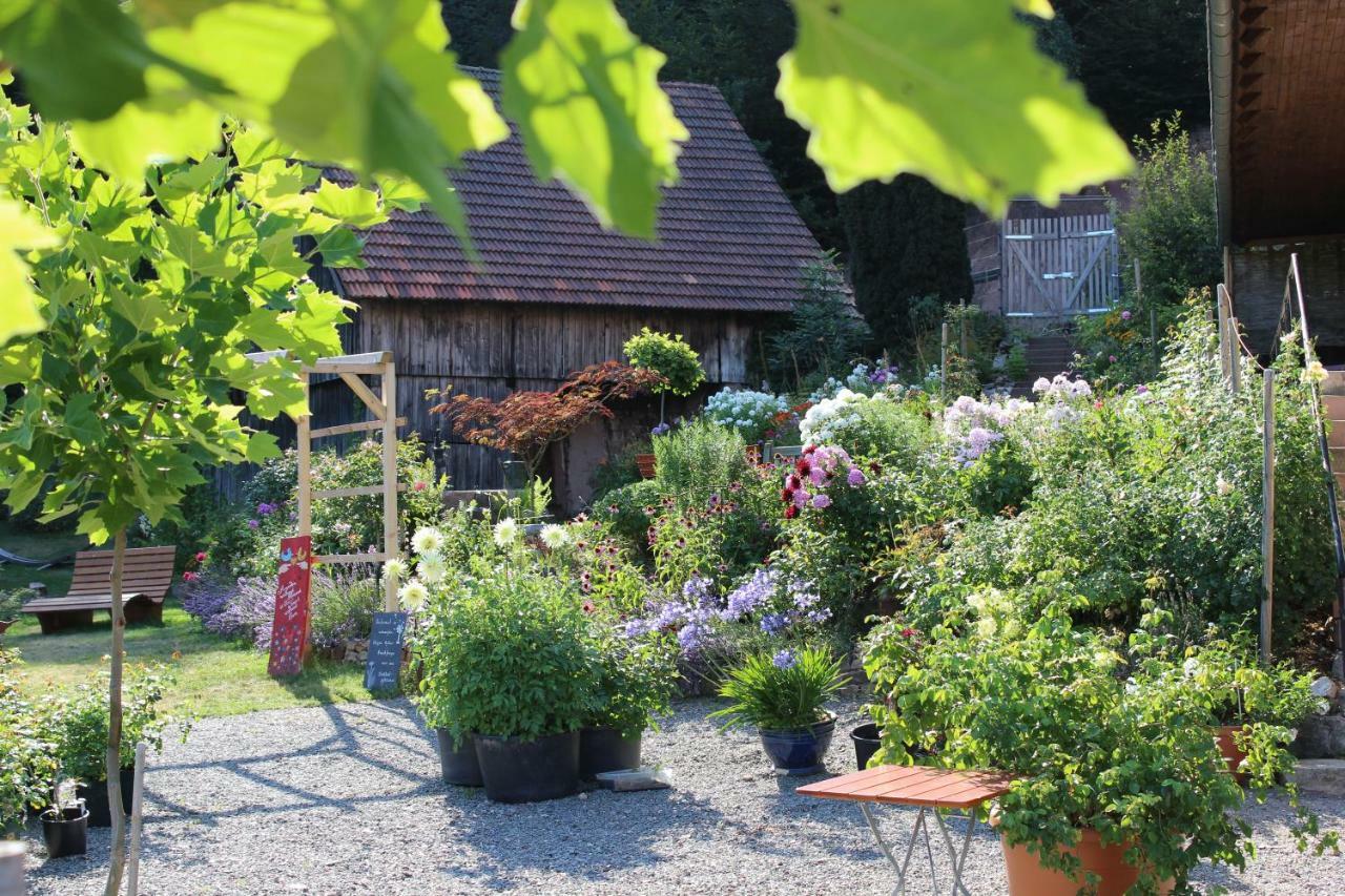 The Moosbach Garden Konuk evi Nordrach Dış mekan fotoğraf